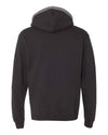 Champion Mens Double Dry Eco Colorblocked Fleece Hood