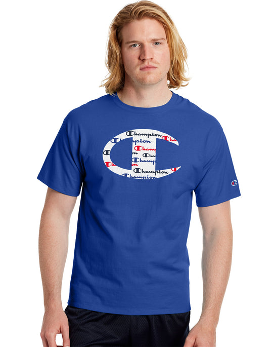 Champion Mens Classic Short-Sleeve Jersey Tee, L, Surf The Web