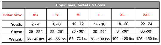 Hanes Boy`s X-Temp Colorblocked Short Sleeve Pocket Tee