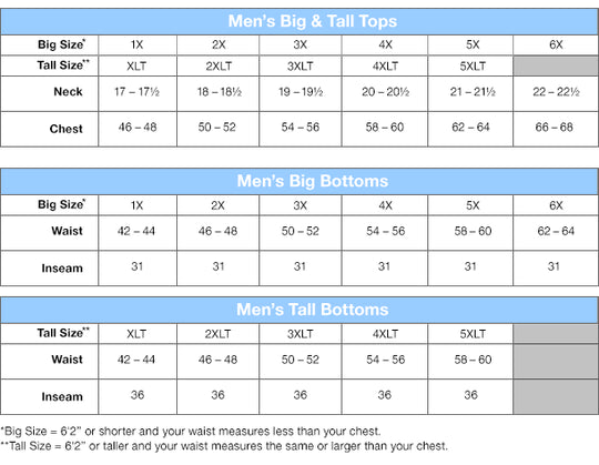 Champion Big & Tall Men`s Core Basic Performance Tee